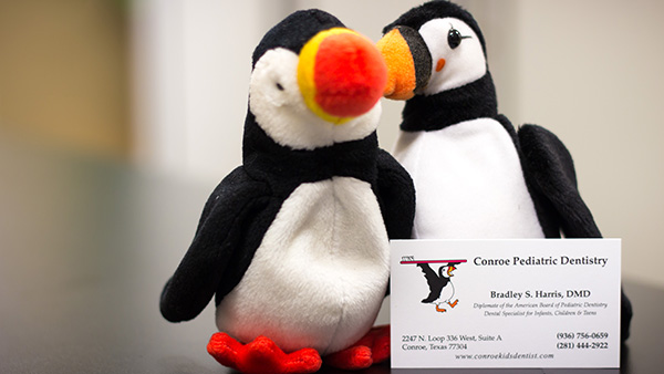 Reception desk puffins for pediatric dentist Dr. Bradley Harris in Conroe, TX